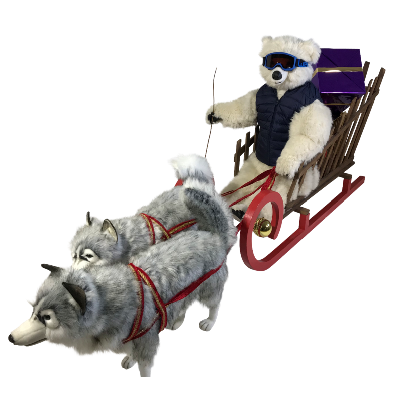 White Leon Bears and Huskie Sled Dogs
