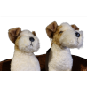 TWO TERRIERS IN A BASKET DOGS