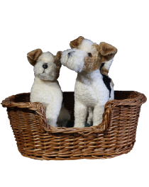 TWO TERRIERS IN A BASKET DOGS
