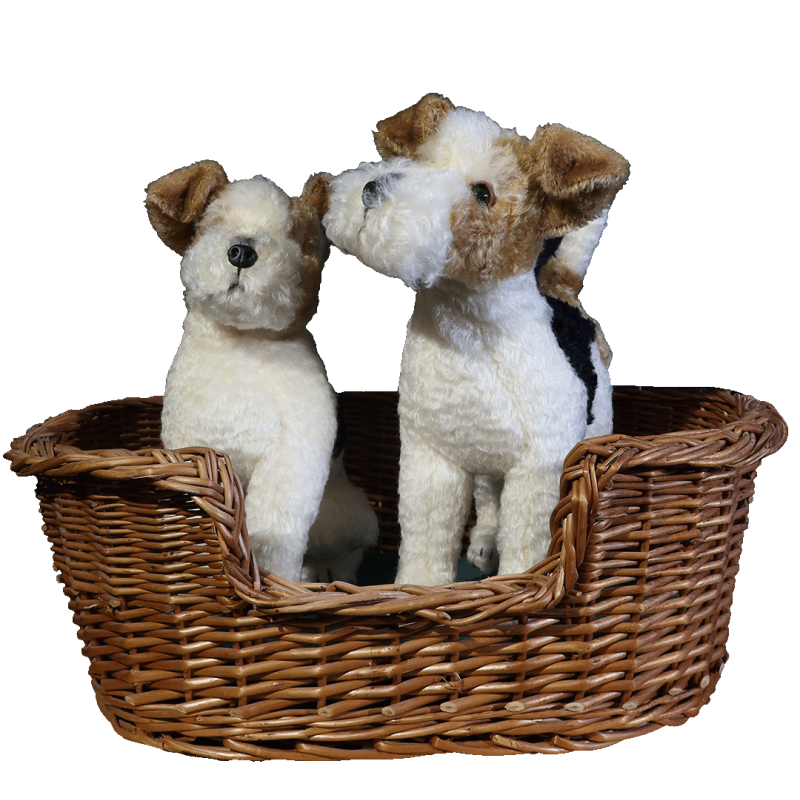 TWO TERRIERS IN A BASKET