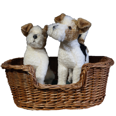 CHIEN PANIER DE FOX