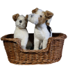 TWO TERRIERS IN A BASKET