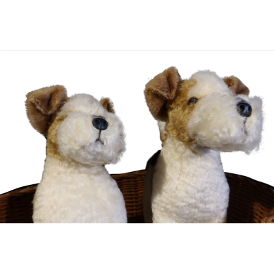 CHIEN PANIER DE FOX