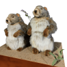 TWO MARMOTS
