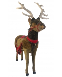 Natural reindeer