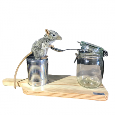 SOURIS LEVIER