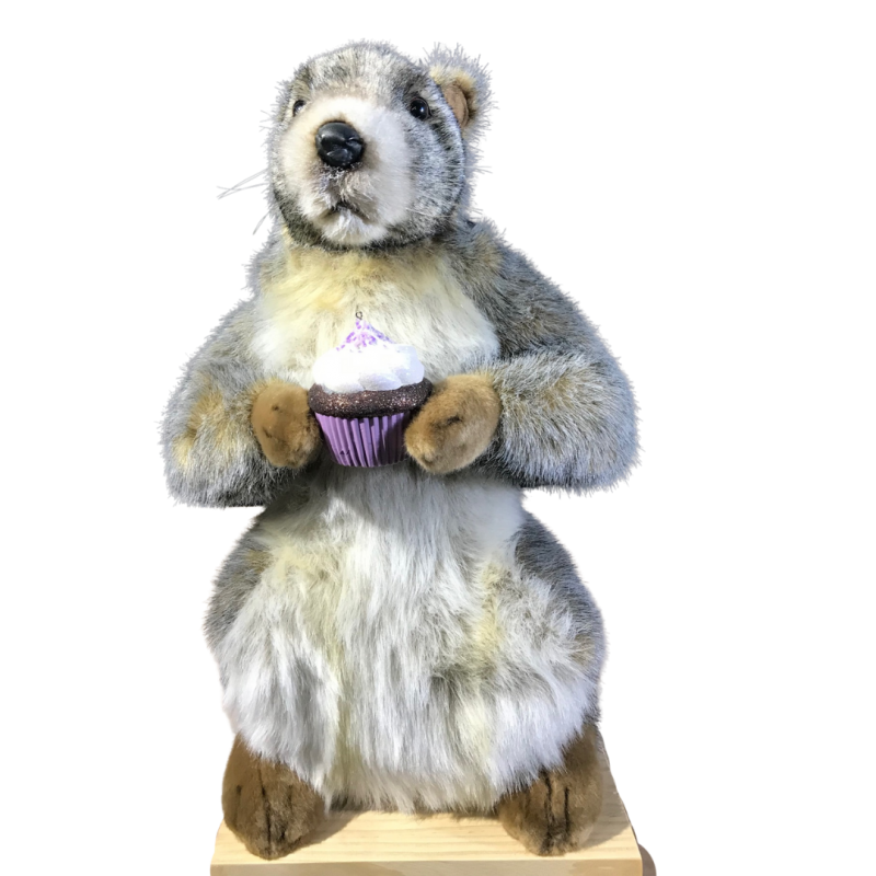 Rental Woodchuck Animatronic with cake for window displays & events in France or Belgium
