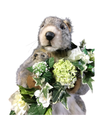 Animatronic marmot for themed window displays & seasonal events