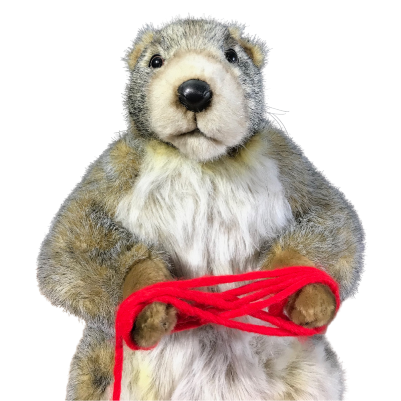 Christmas Groundhog & Red Wool Ball | Seasonal Animatronics