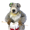 Automate de décoration de vitrine : Marmotte à lunettes qui tricote une chaussette de Noël