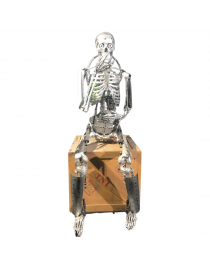 Animatronic skeleton with TNT box for Halloween storefront & themed events