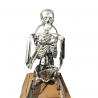 Animated skeleton Halloween for window displays and exhibitions