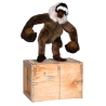 Standing monkey KIWI