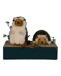 HEDGEHOGS BY TWO RECONDITIONED