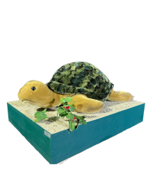 TURTLE