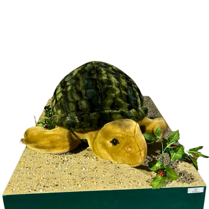 TURTLE