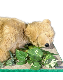 BEAR CUB - BROWN SLEEPING BEAR REFURBISHED