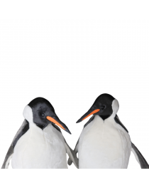 penguins animatronics,animatronic polar animals,animated penguins family storefronts and events