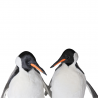 penguins animatronics,animatronic polar animals,animated penguins family storefronts and events