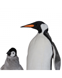 Pingouin et ses deux bébés