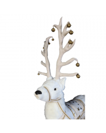 White reindeer