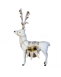 White reindeer