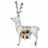 White reindeer