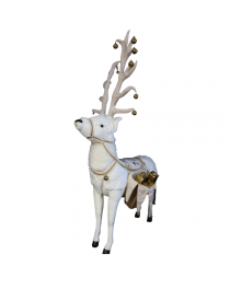 White reindeer