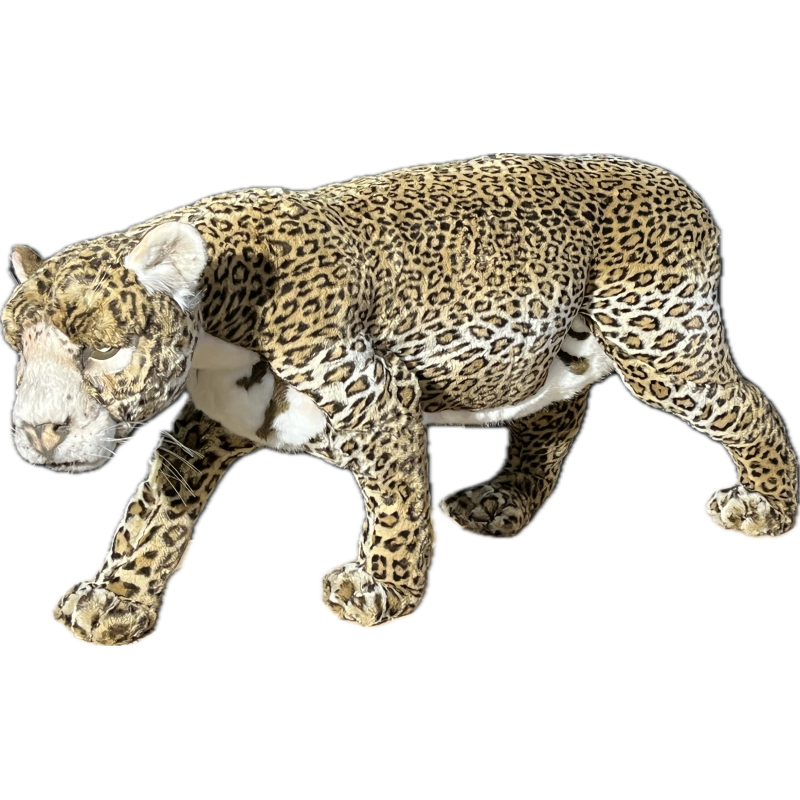 JAGUAR