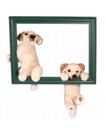 CHIENS ACROBATES (GOLDEN)