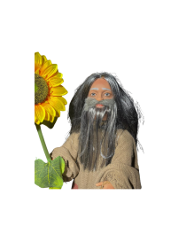 automate druide et tournesol,personnage animatronique merlin l'enchanteur