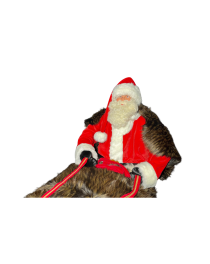 rental animatronic santa claus,christmas animatronic characters,animated santa for rent