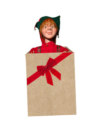 Elf hidden in the gift