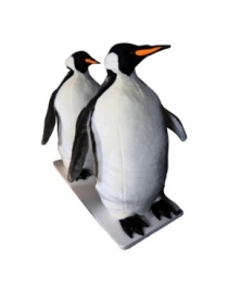 Penguins - Two standing