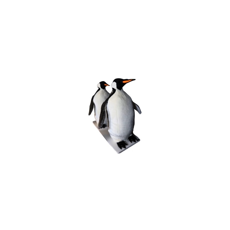 Deux pingouins debouts