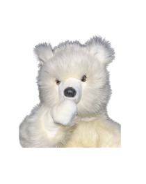tete d'ourson blanc suce son pouce