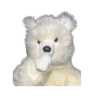tete d'ourson blanc suce son pouce