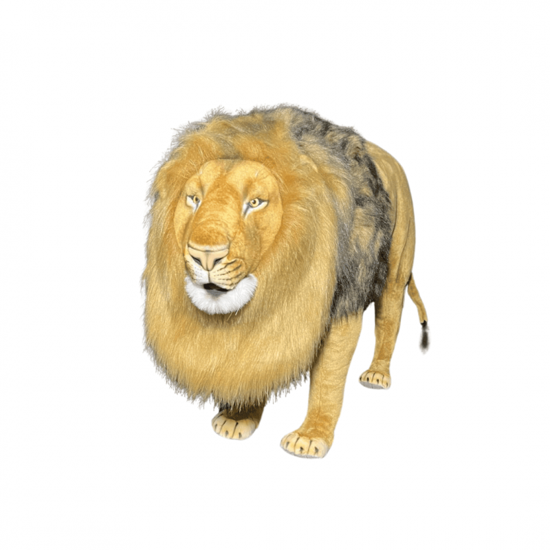 LION AUTOMATE