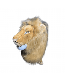 LION MOUVEMENT DE TETE
