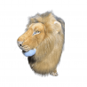 LION MOUVEMENT DE TETE