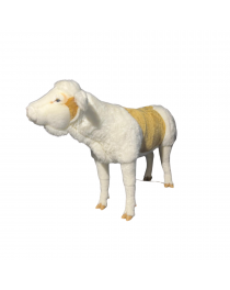 VEAL