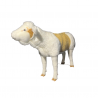 VEAL