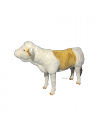 VEAL