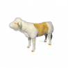 VEAL