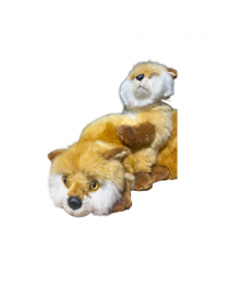 RENARDEAUX ROUX A DEUX