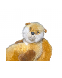 RENARDEAUX ROUX A DEUX