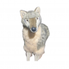 LOUP DEBOUT GRIS