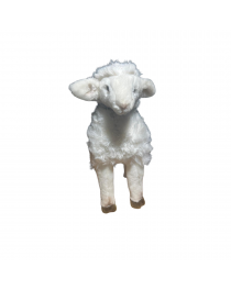AGNEAU D'OCCASION