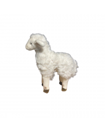 AGNEAU D'OCCASION