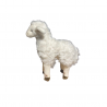 AGNEAU D'OCCASION